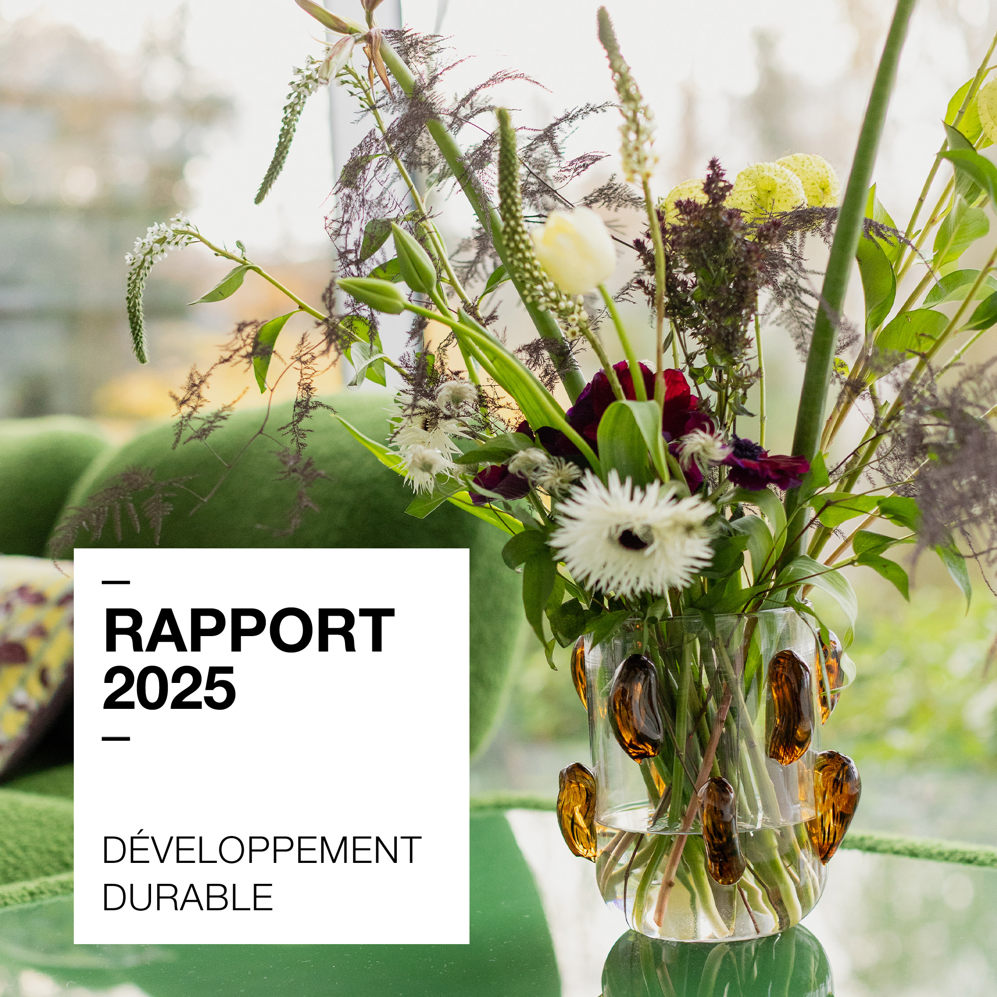 Rapport D&eacute;veloppement Durable 2025